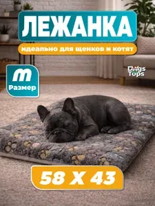 Лежанка для кошек и собак мелких пород 58х43х3 см