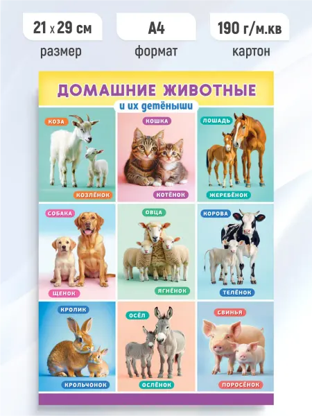Линия успеха Детский обучающий плакат Домашние животные и их детеныши А4