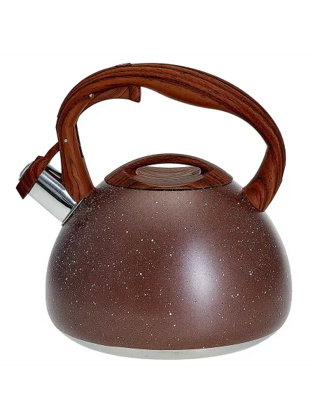 Чайники для плиты ALPENKOK AK-520 Чайник из нержавеющая с