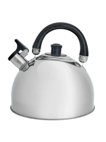 Чайники для плиты WEBBER BE-0528 Чайник из нержавеющая ст