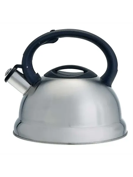 Чайники для плиты WEBBER BE-0547 Чайник из нержавеющая ст