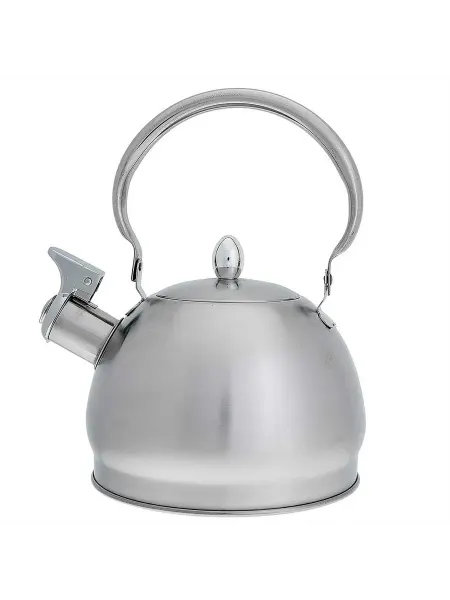 Чайники для плиты WEBBER BE-0560 Чайник из нержавеющая ст