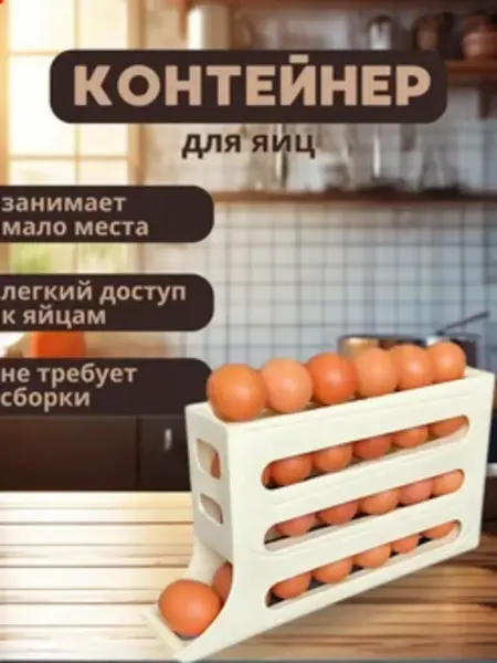 DomHouse Контейнер для яиц на 25 штук в холодильник