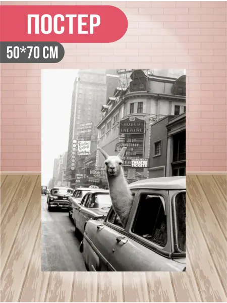 КатинБаннер Постер "Лама" 50*70 см