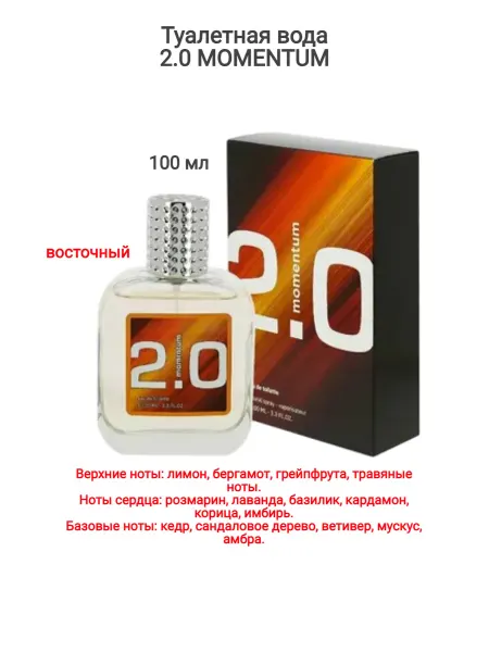Туалетная вода мужская 2.0 MOMENTUM, 100 мл КПК