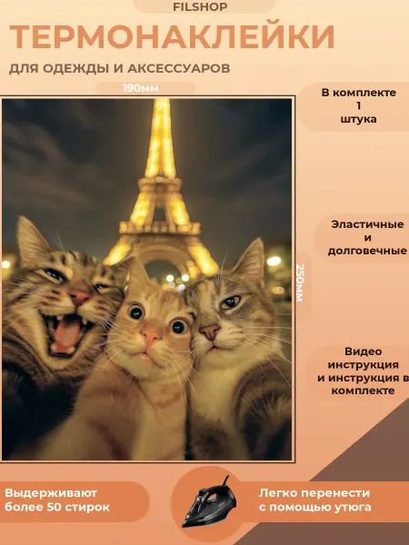 FILSHOP Термонаклейка на одежду