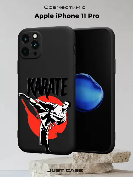 Принт-бутик Чехол на iPhone 11 Pro с принтом Карате