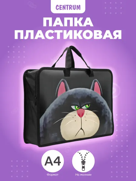 Centrum Папка пластиковая школьная на молнии с ручками