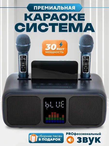 SDRD Караоке колонка с двумя микрофонами