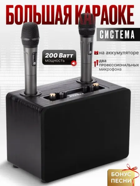 VipVolna Караоке система с беспроводными микрофонами