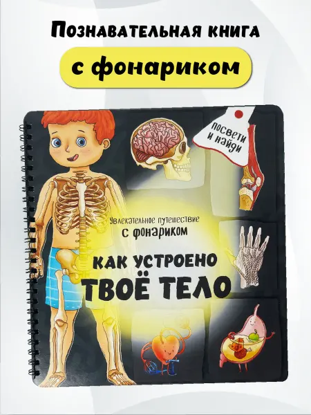 БимБиМон Книга с фонариком малышей Виммельбух Анатомия для детей