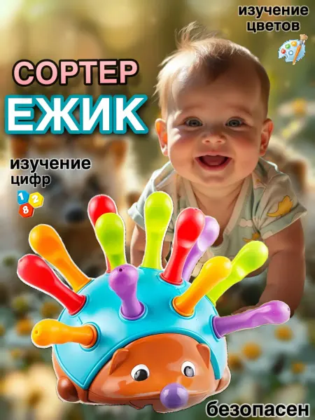 Sharry's Toys Сортер развивающий Ёжик для малышей
