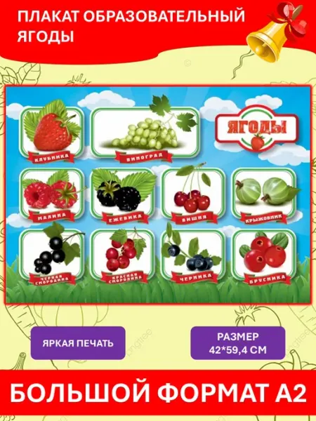 МелмакРу Плакат А2 Ягоды