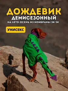 Попона облегченная для собак "Дракон дождя", размер 60 (5XL) , зеленый/фиолетовый