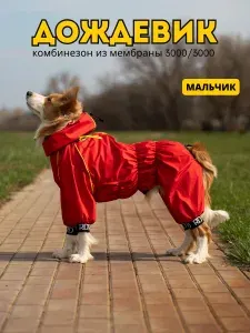 Комбинезон-дождевик для собак "Торнадо", 60 М/5XL, мужской, томат