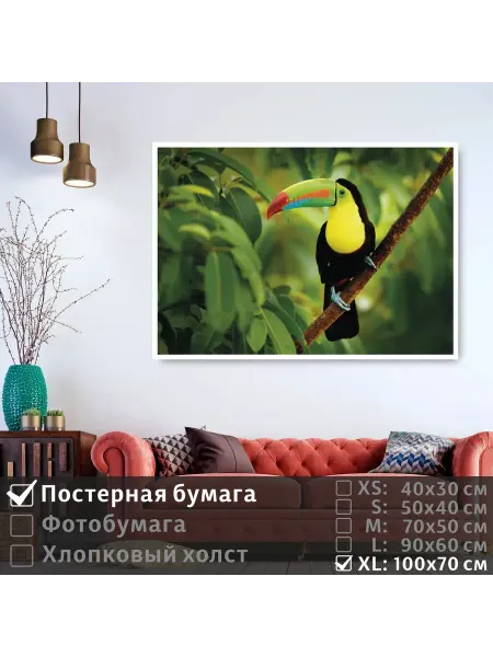 ПолиЦентр Постер "Тропическая птица тукан сидит на ветке" 100х70 см