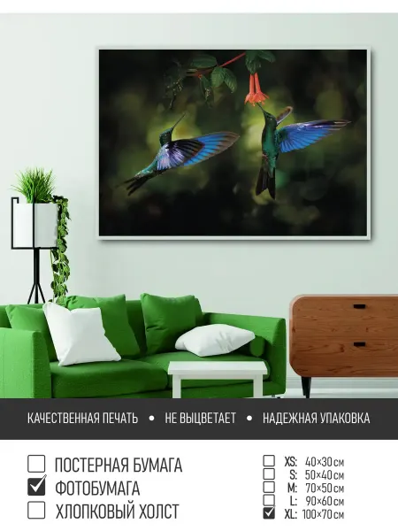 ПолиЦентр Постер на фотобумаге Две маленькие птички колибри, 100х70 см