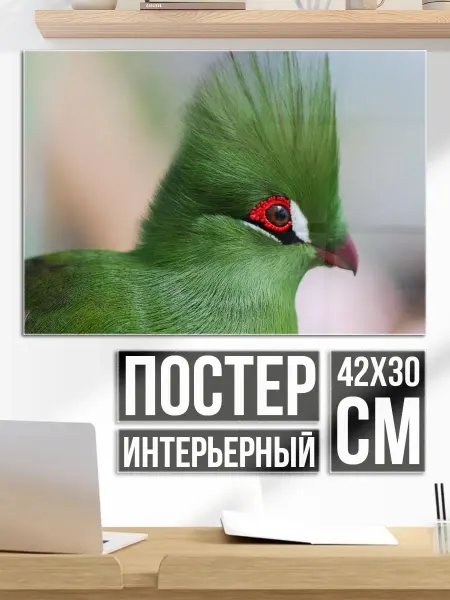 Плакат постер зеленая птица с гребнем