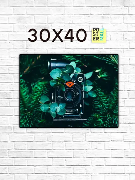 Poster Mall Постер на стену Ретро пленочный фотоаппарат Agfa 30х40