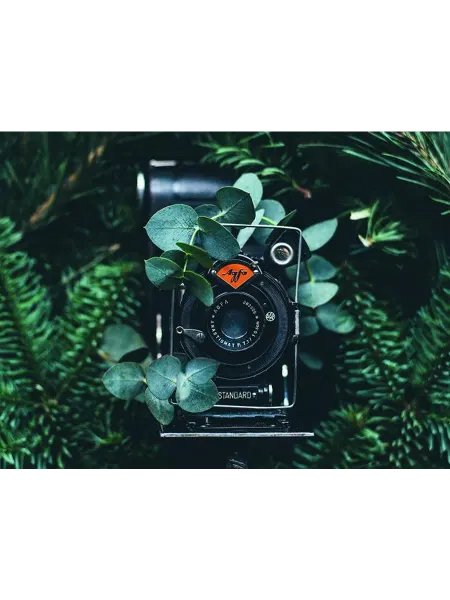 Poster Mall Постер на стену Ретро пленочный фотоаппарат Agfa 40х50