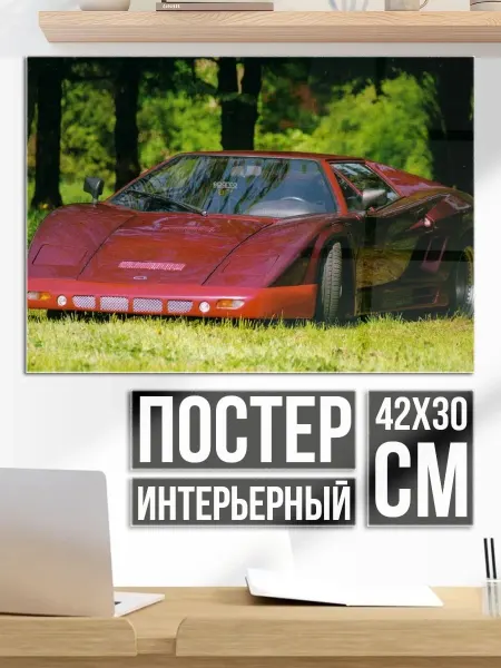 Плакат постер спортивное авто трава