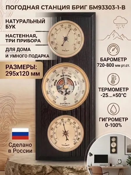 БРИГ Метеостанция механическая БМ93303-1-В, настенная