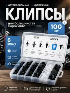 Клипсы автомобильные крепежные, набор 100 шт, 6 видов в коробке