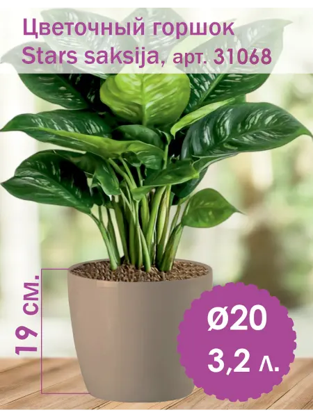 BigPlast Stars saksija цветочный горшок диаметр 20 см кремовый