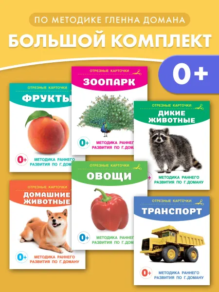 Издательство АСТ Развивающие карточки Домана для малышей комплект из 6 книг