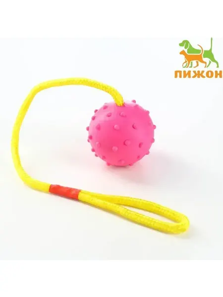Пижон Игрушка мяч на веревке для собак, 6 см, розовая