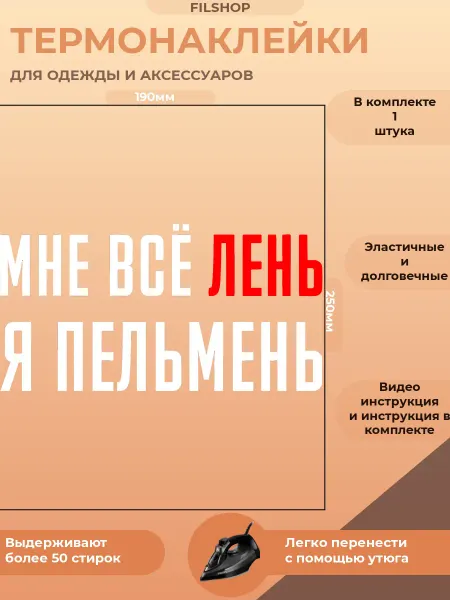 FILSHOP Термонаклейка на одежду надпись прикол