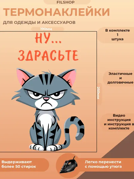 FILSHOP Термонаклейка на одежду