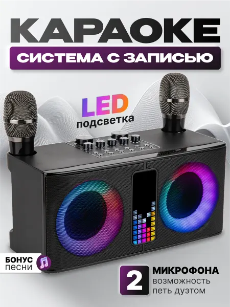 VipVolna Караоке система с двумя беспроводными микрофонами