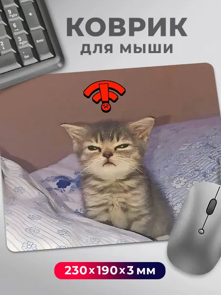Дари! Коврик для мышки с приколом мем Котик Wi-Fi нет подключения
