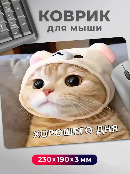 Дари! Коврик для мышки прикол мем Котик в шапочке Хорошего дня