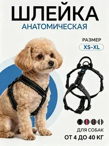 Шлейка для собак регулируемая с 6 точками настройки светоотражающая для мелких