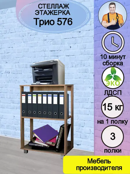 Мебель SamSam Стеллаж - тумба с полками для документов принтера Трио 576
