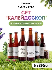 Карибу Комбуча сет "Калейдоскоп" 6х330мл (ассорти 6 вкусов: зеленый чай, с можжевельником, кедр-тархун, лавандовый тоник, малина-мята, кофе)