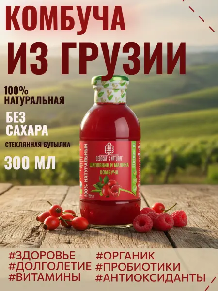 GEORGIA'S NATURAL Комбуча без сахара из шиповника и малины 300мл Грузия
