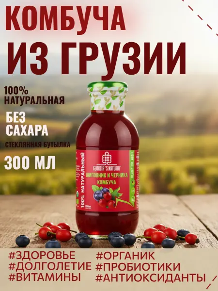 GEORGIA'S NATURAL Комбуча без сахара шиповник и черника 300мл Грузия