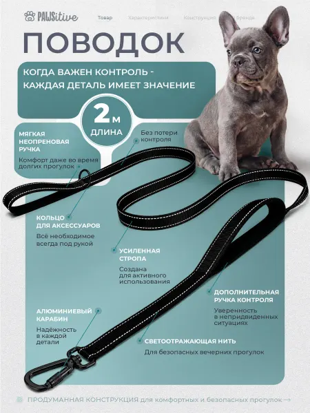 PAWSitive Поводок для собак светоотражающий 2 м