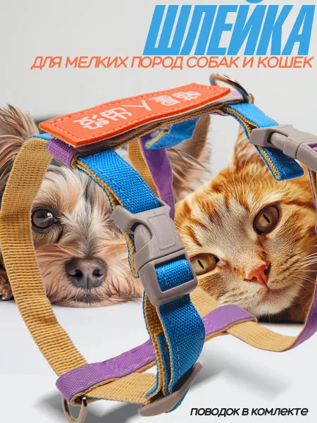 AraPlastic Шлейка для собак мелких средних пород и кошек с поводком