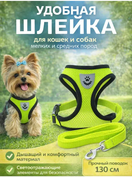 ArmStore-lux Шлейка для кошек и собак мелких пород