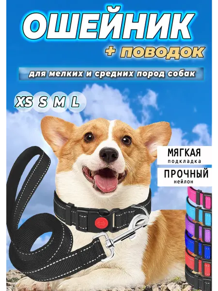 HitZen ошейник для собак с поводком для всех пород