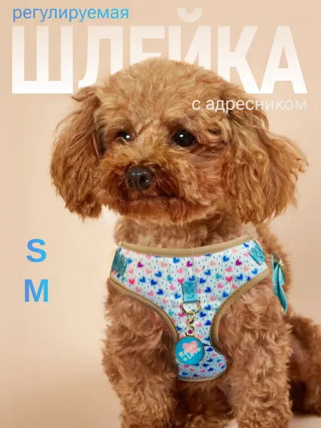 Midepet Нейлоновая регулируемая шлейка для мелких собак с адресником