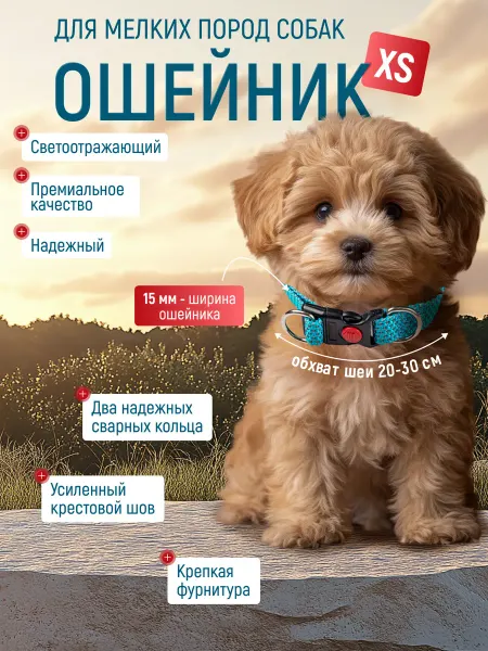PetOpt Ошейник для собак мелких пород, XS, светоотражающий