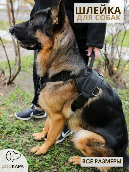 ZooKapa Шлейка для больших собак крупных пород