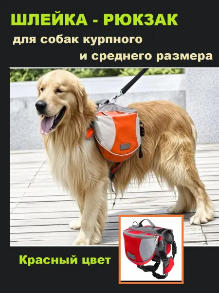 Трамонтана Шлейка рюкзак для собак