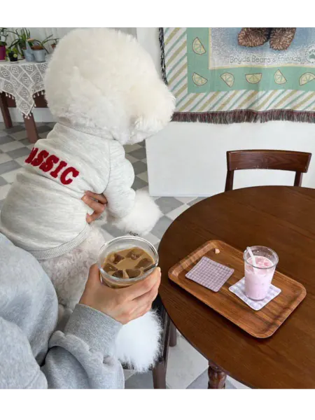 Толстовка на собак