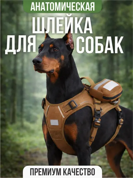 Шлейка для собак с поводком